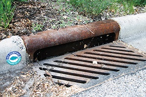 Residents who remove leaves from storm drains help to protect the lakes and streams