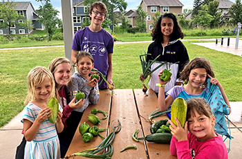 Summer Teen Volunteer Program