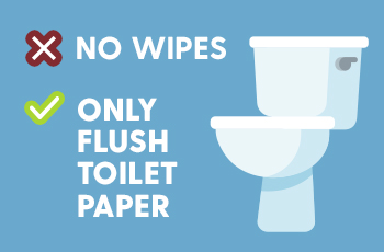 No wipes - only flush toilet paper